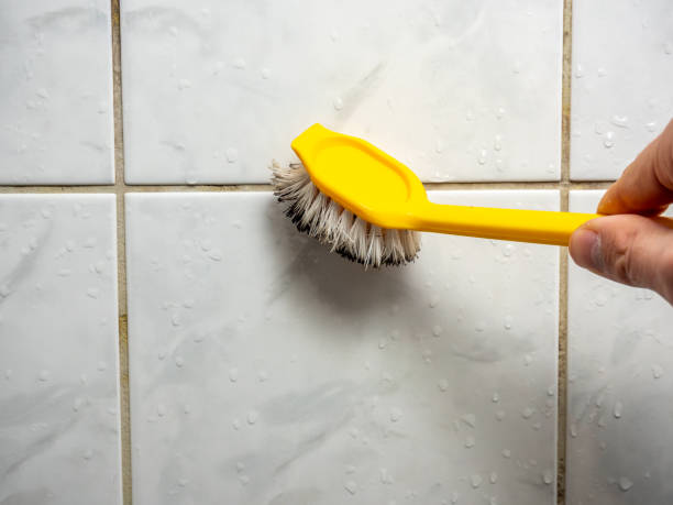 Best Office Mold Removal Services  in Farr West, UT