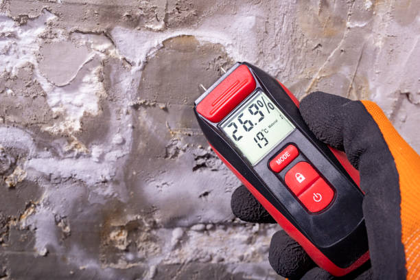 Best Residential Mold Removal  in Farr West, UT