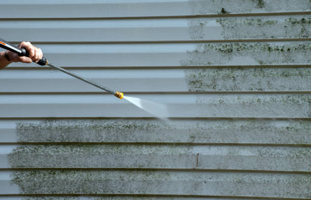 Best Commercial Mold Removal  in Farr West, UT